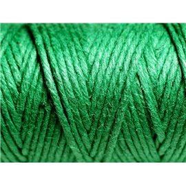 3 meters - Hemp Twine Cord 1.5mm Green - 4558550083753 