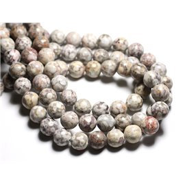 6pc - Stone Beads - Fossil Ocean Jasper Balls 12mm - 4558550081667 