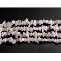 20pc - Perles Pierre - Kunzite Rose Rocailles Chips 4-10mm - 7427039734011