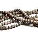 20pc - Perles de Pierre - Jaspe Océan Fossile Boules 6mm -  4558550039798