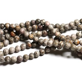 20pc - Stone Beads - Fossil Ocean Jasper Balls 6mm - 4558550039798