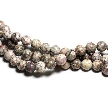 6pc - Perles de Pierre - Jaspe Océan Fossile Boules 10mm -  4558550039804