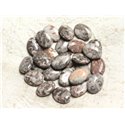 4pc - Perles de Pierre - Jaspe Océan Fossile Ovales 16x12mm -  4558550039781 