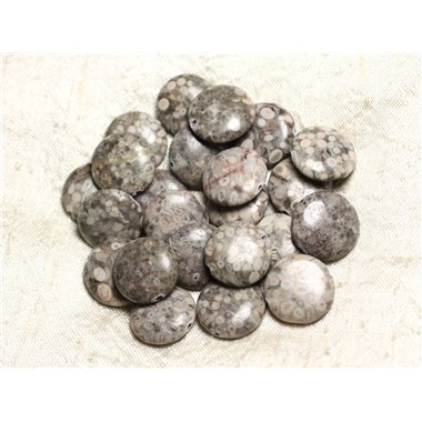 4pc - Perles de Pierre - Jaspe Océan Fossile Palets 18mm -  4558550039774 