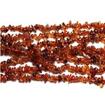 50pc - Perles de Pierre - Grenat Orange Chips Rocailles 3-8mm -  4558550039767 