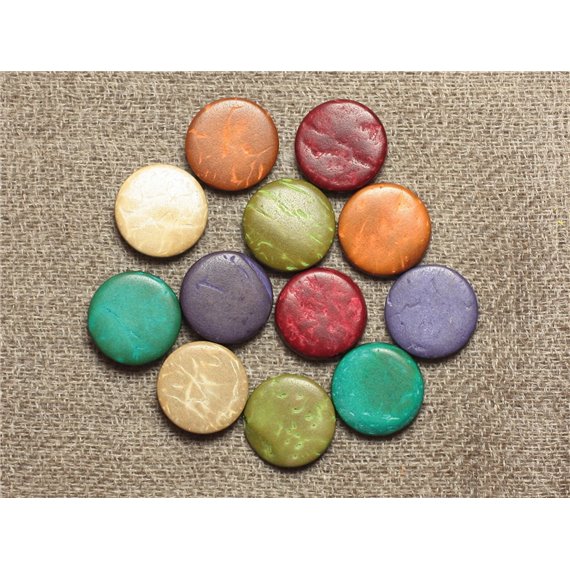 20pc - Perles Bois de Coco Palets 10-11mm Multicolores   4558550001207