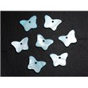 10pc - Perles Breloques Pendentifs Nacre - Papillons 20mm Bleu Turquoise   4558550002952