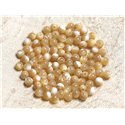 20pc - Perles de Nacre Beige Irisée Boules 4mm   4558550003584