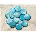 10pc - Perles Nacre Palets 20mm Bleu Turquoise   4558550004963