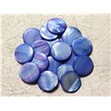 10pc - Perles Nacre Palets 20mm Bleu Rose   4558550004994