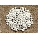 30pc - Perles de Pierre - Howlite Boules 2mm   4558550010582 