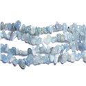 30pc - Perles Pierre - Aigue Marine Chips Rocailles 4-10mm Bleu clair blanc - 7427039736015