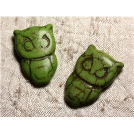 4pc - Synthetic Turquoise Owl Owl Beads 30x20mm Green 4558550011732
