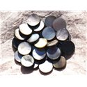 2pc - Perles Nacre noire naturelle - Palets 15mm   4558550014351 