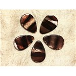 4pc - Perles de Nacre Gouttes 30x20mm Marron Zébré  4558550031914 