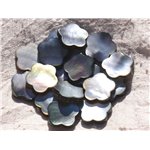 2pc - Perle Nacre noire naturelle - Fleur 18mm   4558550015327 