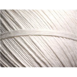10 metri - Spago di lino 1 mm Bianco 4558550015495