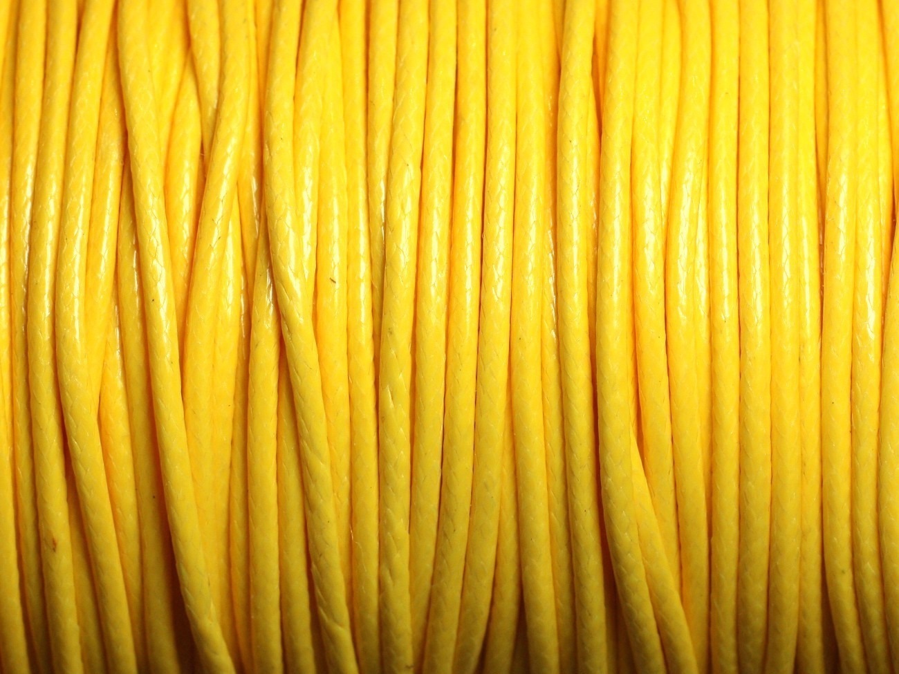 5 mètres - Cordon Coton Ciré 2mm Jaune  - 4558550016065 