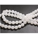 20pc - Perles de Pierre - Jade Blanche Facettée 4mm   4558550017383