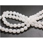 20pc - Perles de Pierre - Jade Blanche Facettée 4mm   4558550017383