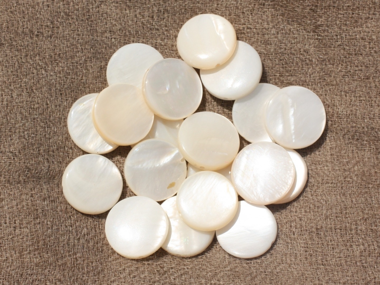 10pc - Perles Nacre blanche Ronds Palets 15mm   4558550017475