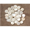 20pc - Perles Nacre Blanche Palets 10mm   4558550017895 