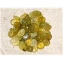 30pc - Perles de Pierre - Jade Olive Chips Palets 8-15mm   4558550018205 