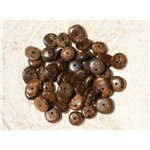 10pc - Perles de Pierre - Bronzite Chips Palets 8-12mm   4558550018366