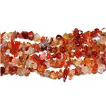 120pc environ - Perles Pierre - Cornaline Rocailles Chips 5-10mm blanc orange rouge - 4558550019455