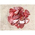 10pc - Breloques Pendentifs Nacre Feuilles ou Ailes 16mm Rouge Rose   4558550019462