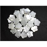 10pc - Breloques Pendentifs Nacre Blanche Fleurs 15mm   4558550020062