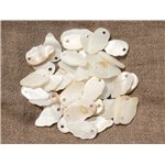 10pc - Breloques Pendentifs Nacre Blanche Feuilles ou Ailes 16mm   4558550020109