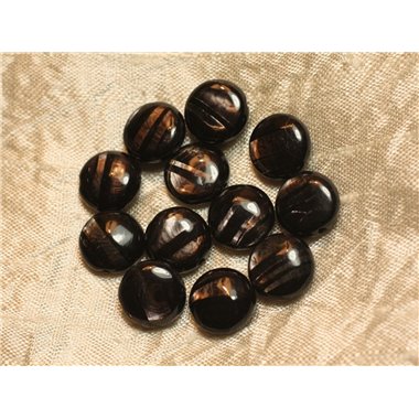 2pc - Perles de Pierre - Hypersthène Palets 12mm   4558550020437