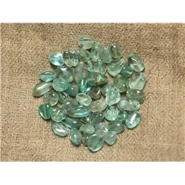 5pc - Perles Pierre - Apatite Olives Ovales Nuggets 4-10mm bleu vert clair turquoise - 7427039736220