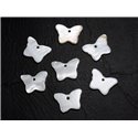 10pc - Breloques Pendentifs Nacre Blanche Papillons 20mm   4558550020819