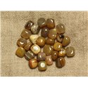 10pc - Perles de Pierre - Bois Fossile Nuggets 7-10mm -  4558550020925 
