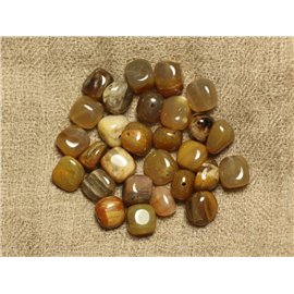 10pc - Perline di pietra - Pepite di legno fossile 7-10mm - 4558550020925 