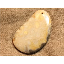 Colgante de piedra semipreciosa Fossil Coral 55mm n ° 8 4558550022370 