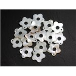 10pc - Perles Breloques Pendentifs Nacre Blanche Fleurs 19-20mm   4558550021311