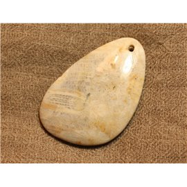 Pendente in pietra semipreziosa Corallo fossile 55mm n ° 3 4558550021892 
