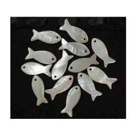 5-delig - Witte parelmoeren bedels 23 mm 4558550021663