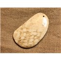 Pendentif Pierre semi précieuse Corail Fossile 55mm n°4  4558550021564 