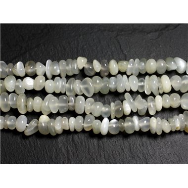 20pc - Perles Pierre de Lune Blanc gris irisé - Chips Nuggets arrondies 5-10mm   4558550022462