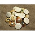 4pc - Perles Oeil de Shiva - Sainte Lucie Ovale 17-19mm   4558550023322