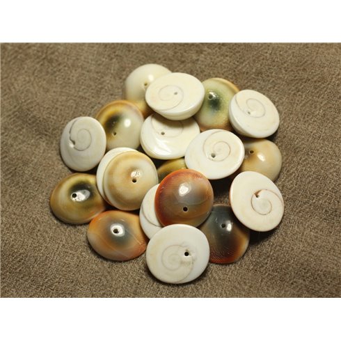 4pc - Perles Oeil de Shiva - Sainte Lucie Ovale 17-19mm 4558550023322