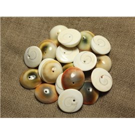 4pc - Perles Oeil de Shiva - Sainte Lucie Ovale 17-19mm 4558550023322