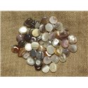 6pc - Perles de Pierre - Agate Botswana Ovales 7-9mm   4558550023513