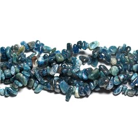 40pc - Perles Pierre Apatite Rocailles Chips 5-10mm bleu vert - 4558550023520