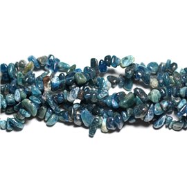 40pc - Perline di pietra - Chip di perle di semi Apatite 5-12mm 4558550023520