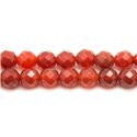 5pc - Perles de Pierre - Cornaline Boules Facettées 10mm   4558550023551